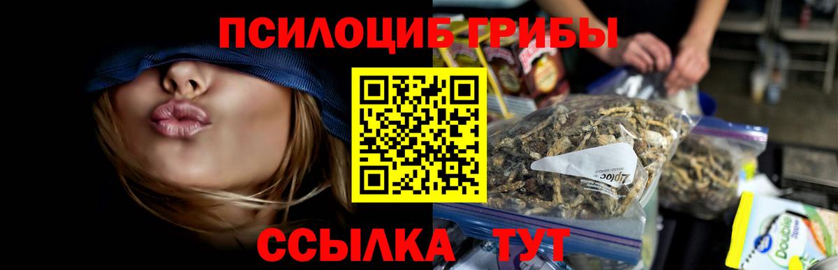 Биробиджан  Псилоцибиновые грибы MAGIC MUSHROOMS  Галлюциногенные грибы Magic Shrooms  Вход с VPN 